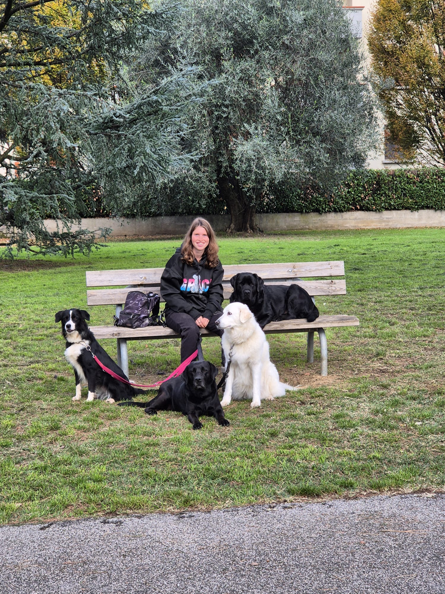 Gemma con quattro cani ospiti