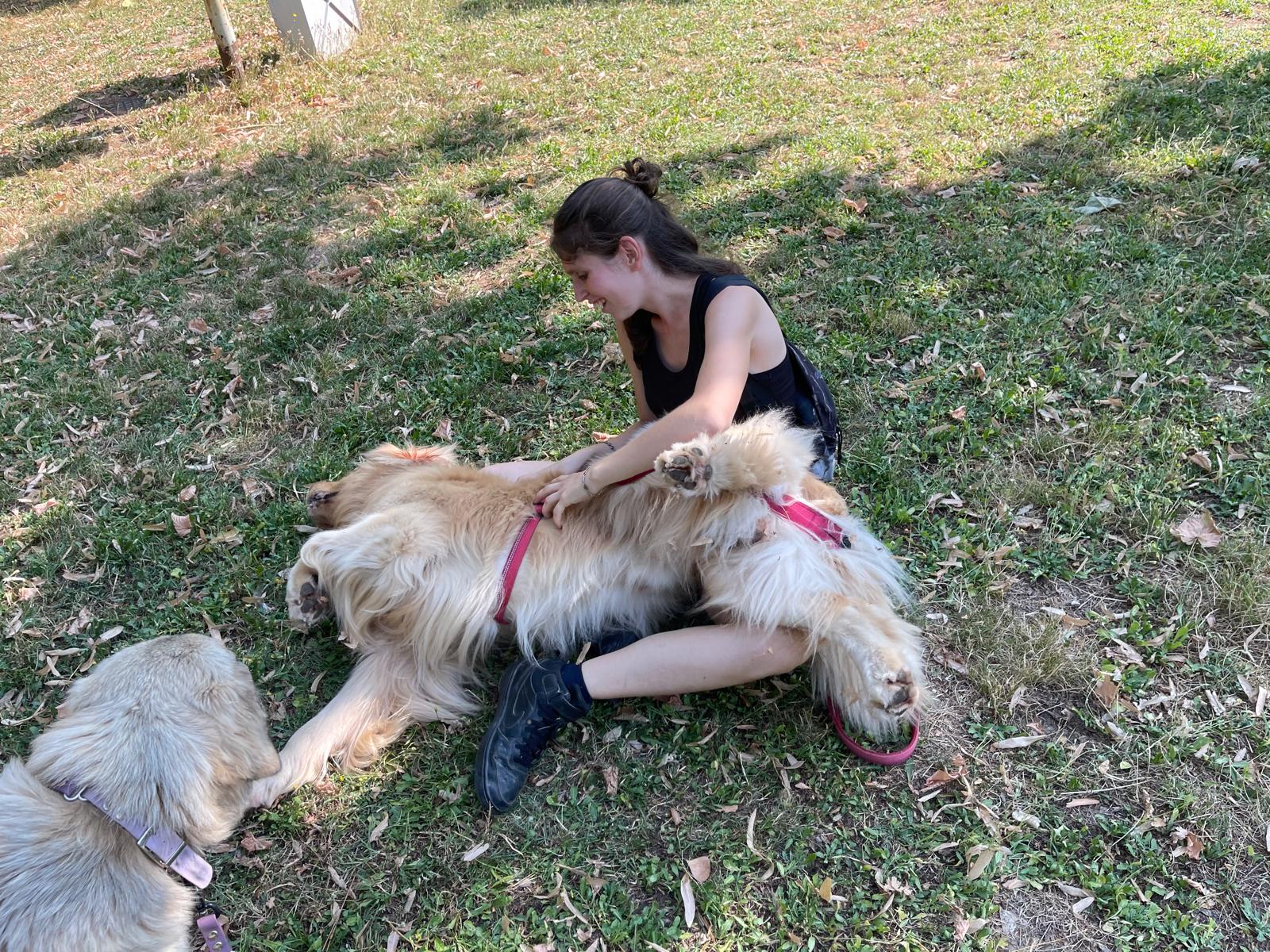 Momento di relax con un cane al parco